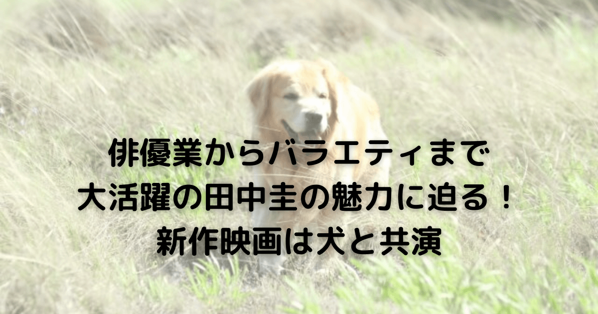 田中圭の魅力に迫る 新作映画は犬と共演